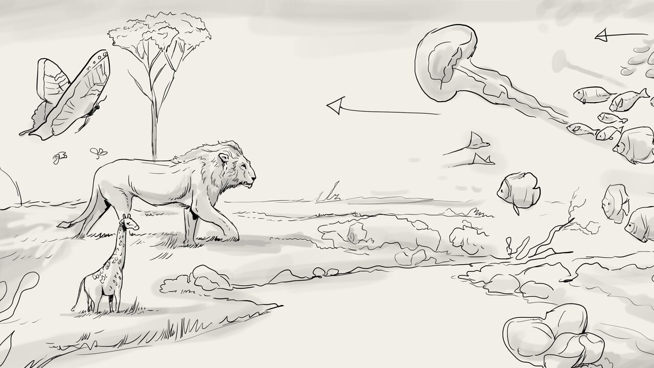 Ferragamo — pencil study, lion and reef